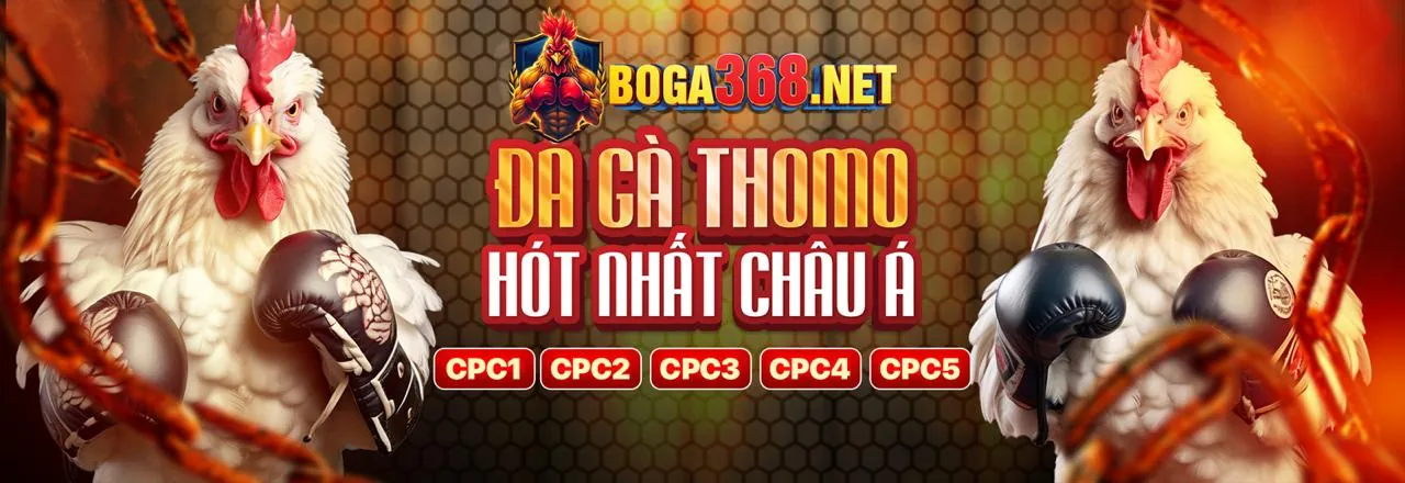 Trải nghiệm người dùng thân thiện FF168 Win