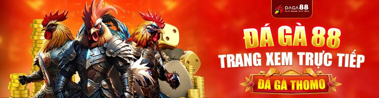 Đấu trường đá gà trực tuyến sôi động tại ff168 win